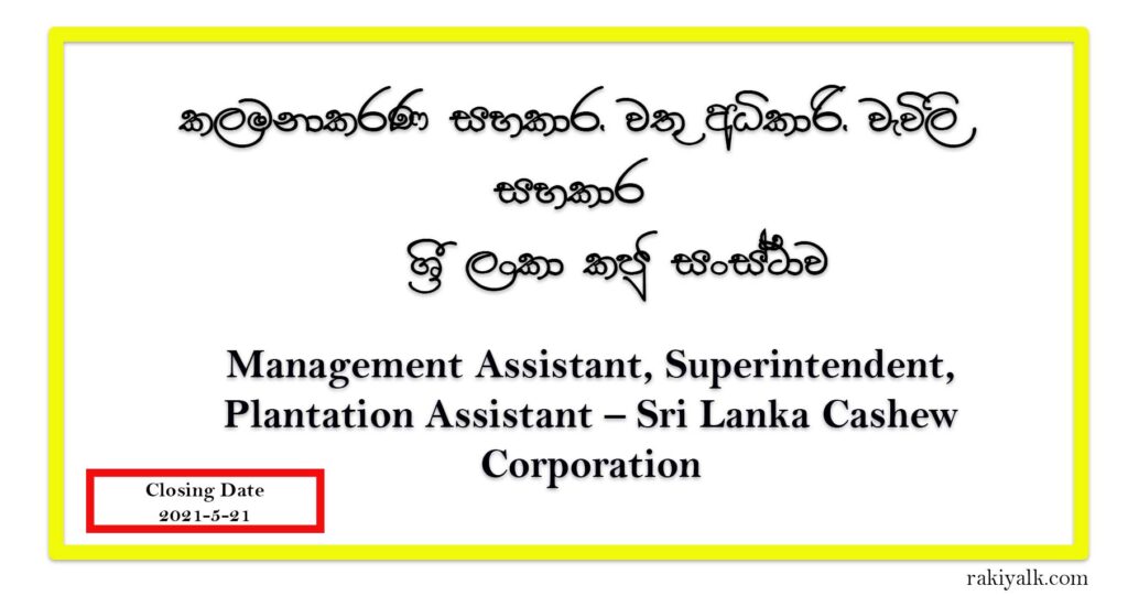 Job Vacancy For Management Assistant, Superintendent, Plantation Assistant at Sri Lanka Cashew Corporation
