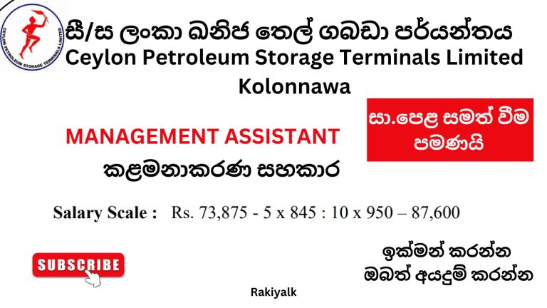 Petroleum Management Assistant Vacancies